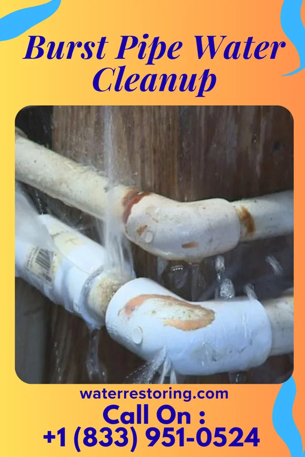 Burst Pipe Water Cleanup in Dickson, TN