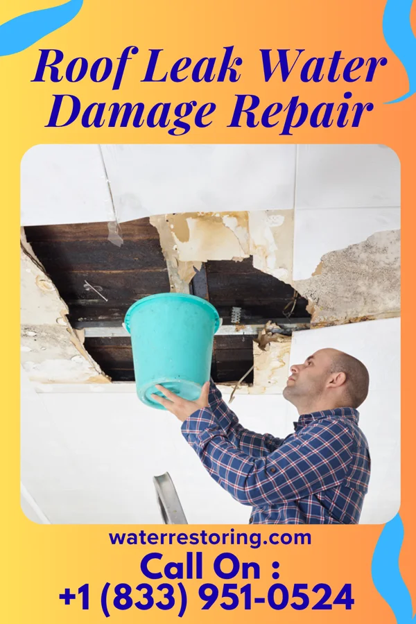 Roof Leak Water Damage Repair in Dickson, TN