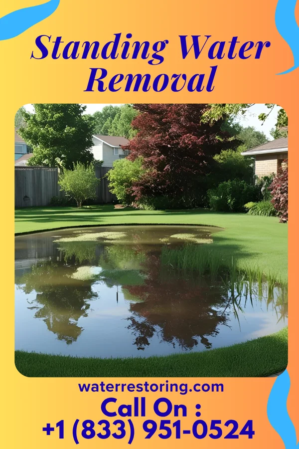 Standing Water Removal in Dickson, TN